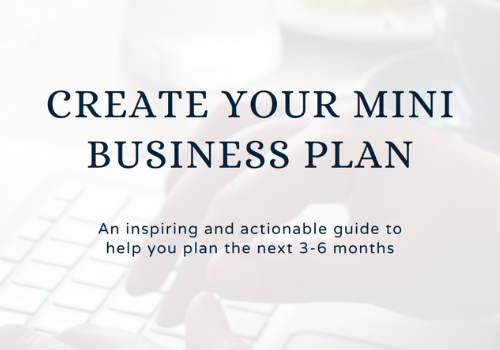 Mini Business Plan course